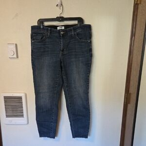 Sonoma Skinny Jeans